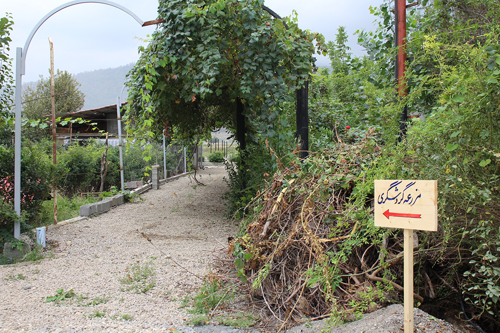 تائید 9 پرونده بهره‌برداری گردشگری کشاورزی در استان گلستان